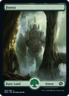 Forest (#286) (full art)