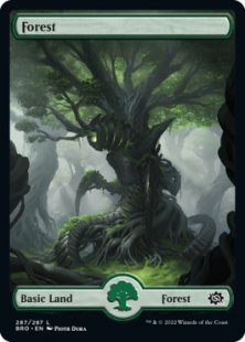 Forest (#287) (full art)