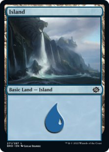 Island (#271) (foil)