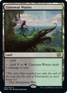 Llanowar Wastes (foil)