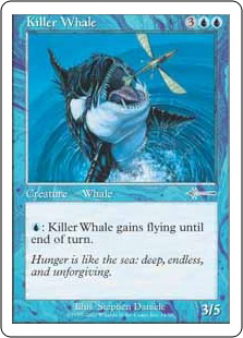 Killer Whale