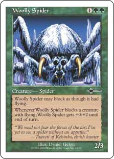 Woolly Spider