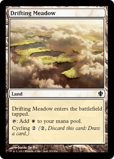 Drifting Meadow