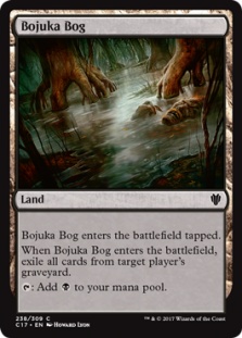 Bojuka Bog