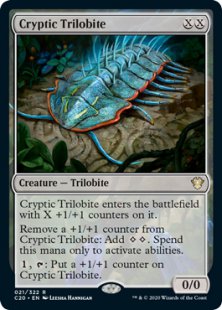 Cryptic Trilobite