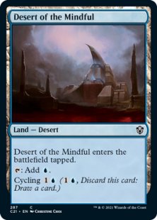Desert of the Mindful