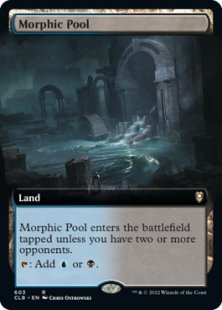 Morphic Pool (foil) (extended art)