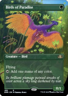 Birds of Paradise (foil) (borderless)