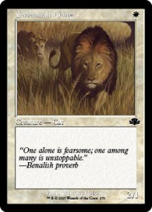 Savannah Lions (foil) (showcase)