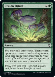 Druidic Ritual (foil)