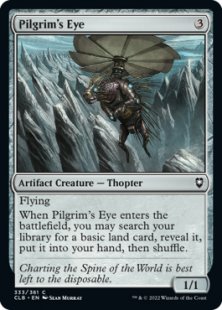 Pilgrim's Eye (foil)