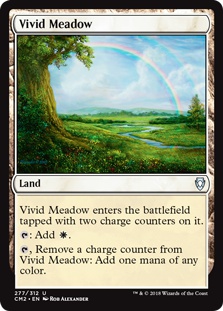 Vivid Meadow