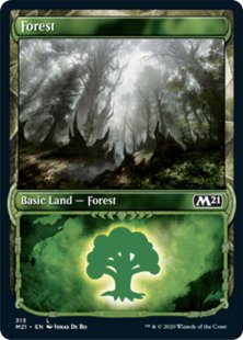 Forest (foil) (showcase)