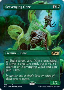 Scavenging Ooze (foil) (borderless)