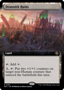 Drannith Ruins (#185) (extended art)