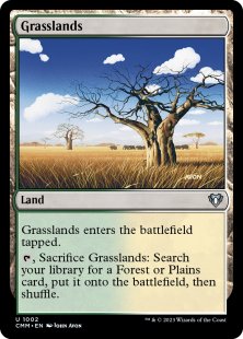 Similar cards to Evolving Wilds | Bazaar of Magic