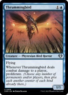 Thrummingbird