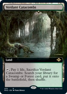 Verdant Catacombs (foil) (extended art)
