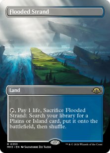 Flooded Strand (#353) (borderless)