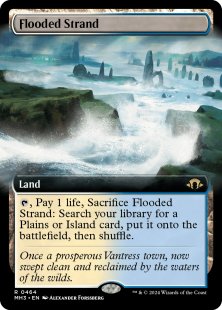 Flooded Strand (#464) (extended art)