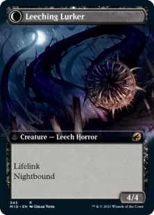 Curse of Leeches (extended art)