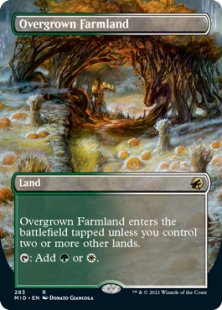 Overgrown Farmland (foil) (borderless)