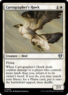 Cartographer's Hawk (foil)