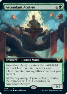 Ascendant Acolyte (extended art)