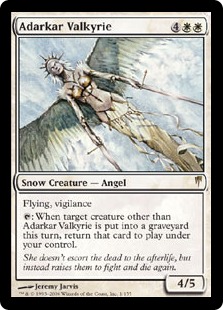 Adarkar Valkyrie