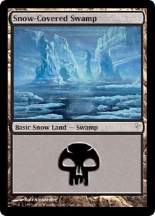 Snow-Covered Swamp