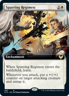 Sparring Regimen (foil) (extended art)