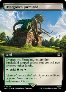 Overgrown Farmland (extended art)