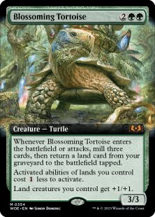 Blossoming Tortoise (extended art)