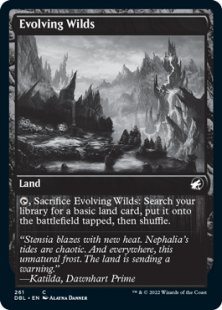 Evolving Wilds (1) (foil)