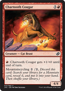 Chartooth Cougar