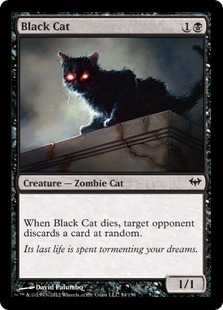 Black Cat