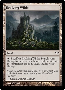 Evolving Wilds (foil)