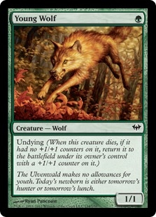 Young Wolf (foil)