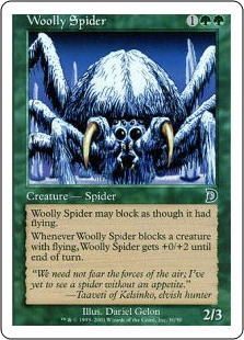 Woolly Spider