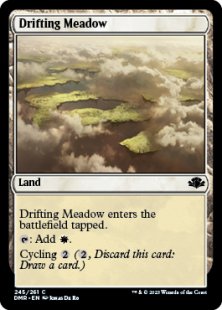 Drifting Meadow