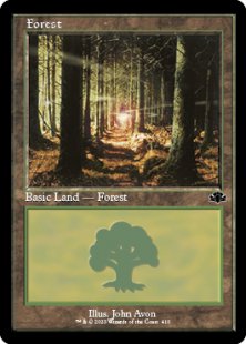 Forest (#410) (foil)