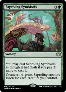 Saproling Symbiosis (foil)