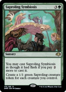 Saproling Symbiosis