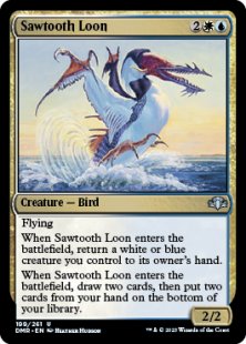 Sawtooth Loon (foil)