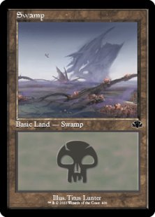 Swamp (#406)