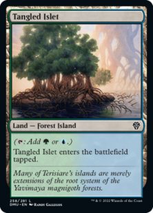 Tangled Islet (foil)