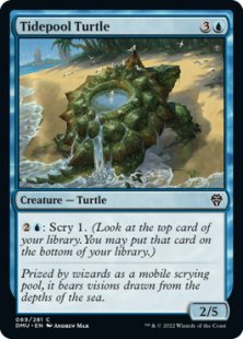 Tidepool Turtle (foil)