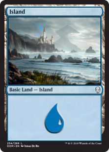 Island (#254) (foil)