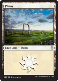 Plains (#253) (foil)
