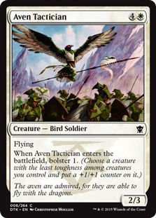 Aven Tactician (foil)